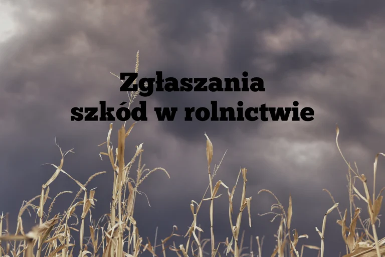 Zgłaszanie szkód w rolnictwie